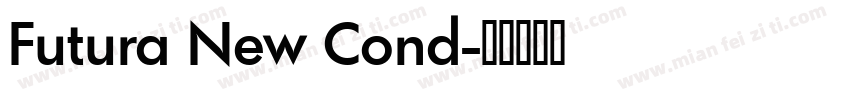 Futura New Cond字体转换